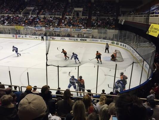 Ice Bears vs. Cottonmouths