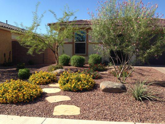 Mimic the natural beauty of the Arizona desert.