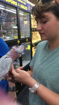 My sister with the amazingly sweet cockatoo!