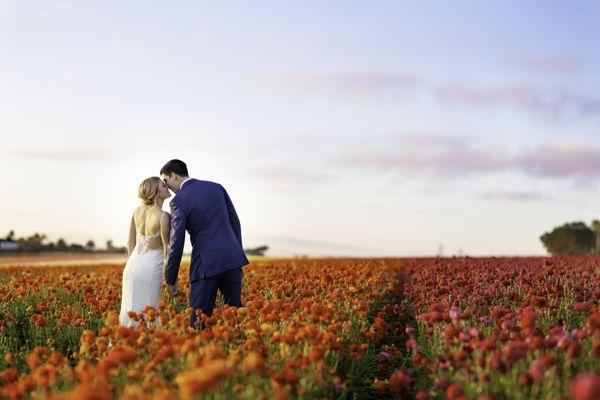 wedding photo in a field of flowers