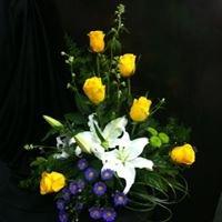 La Pegasus Florist & Gifts