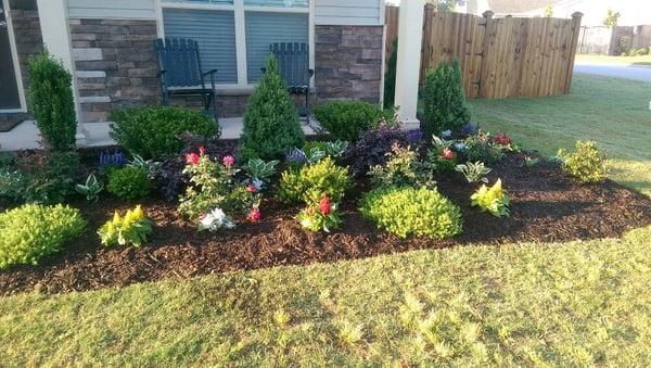 Front lawn landscaping. Shrub, flower and mulch installation.