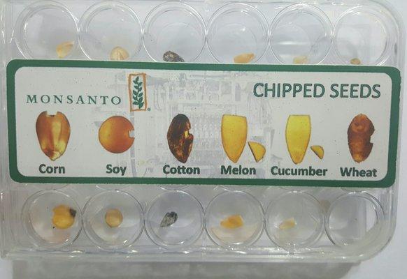 Seed chipper, chipped seeds sample (tour)