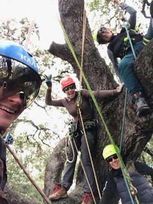 Our tree tea gathering. There were no scones though! Having fun and learning best practices in Austin Texas.