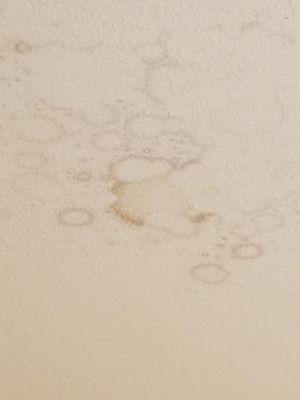 Mold in bathroom