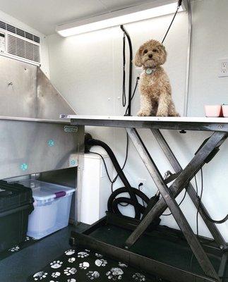 Odalys Mobile Dog Grooming Miami