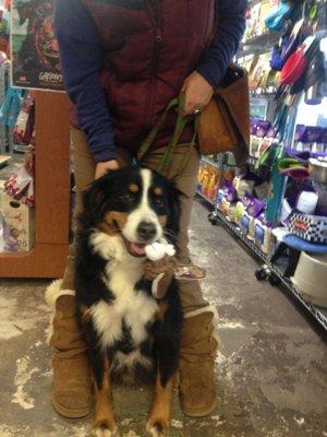 Wally, shopping for toys. He is by far our toughest customer on toys!