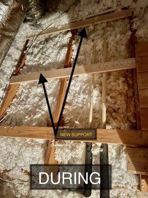 Subfloor attic