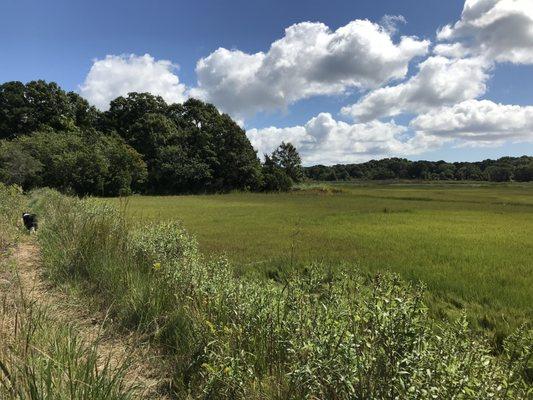 Walking along the Marsh