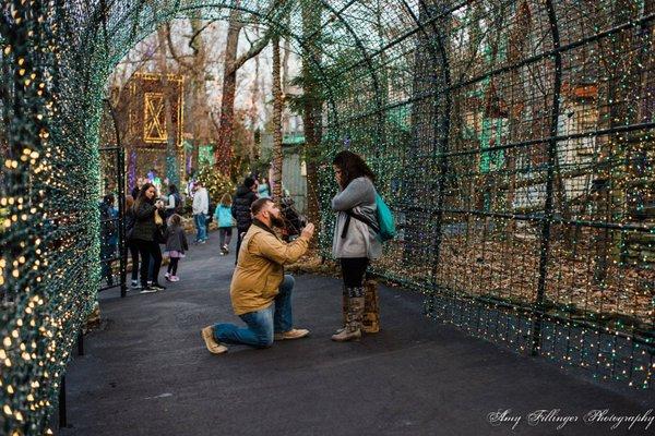 Silver Dollar City proposal. Christmas is the best time!