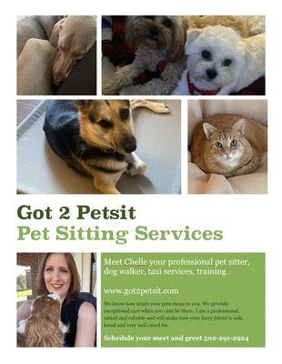 Pet sitting services