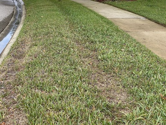 Tracks on lawn from heavy equipment, not switching mowing patterns