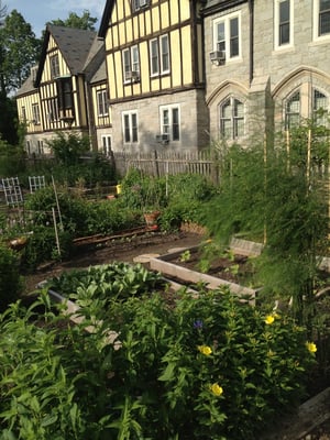 Community garden at the law school