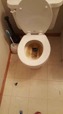 Move out stained toilet