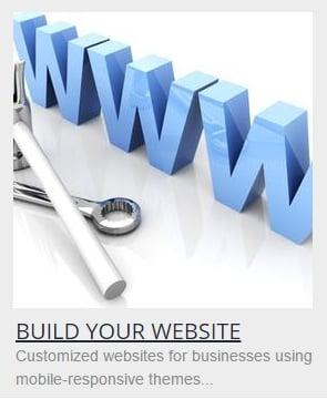 BUILD YOUR WEBSITE Customized websites for businesses using mobile-responsive themes...  www.ops-exec.com