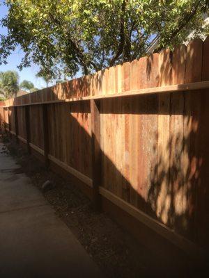 New Fence