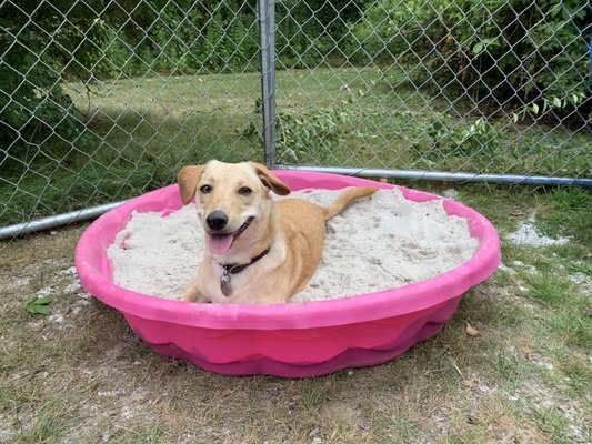 Relaxing in the sand pool!