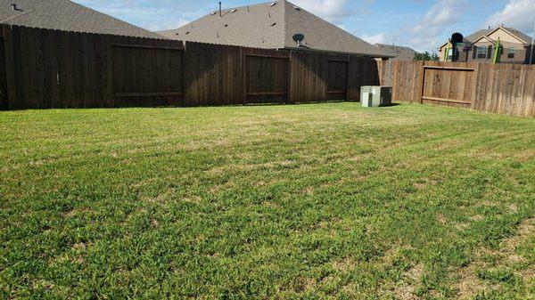 Back yard now and fertilize