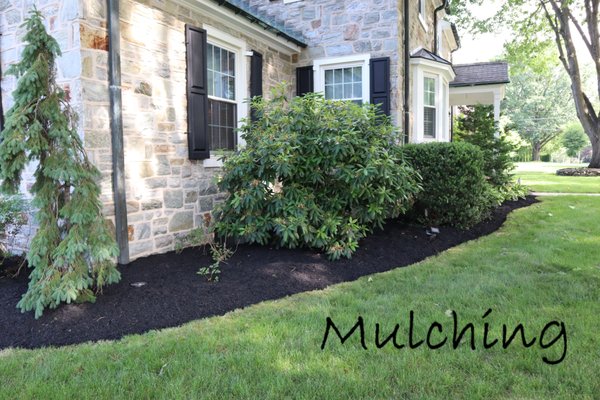 Mulching