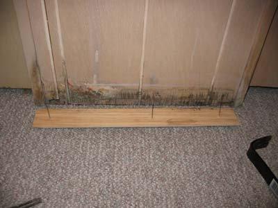 Mold growth hidden behind basement baseboards.