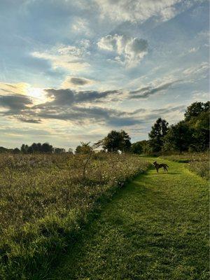 Great walking trails.