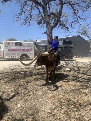 Redneck the Longhorn