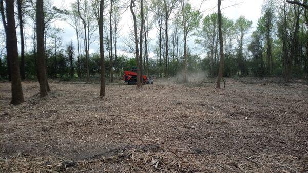 Forestry Mulching