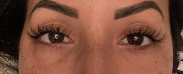 Almost two weeks in after 80pc cat eye, they still look great!