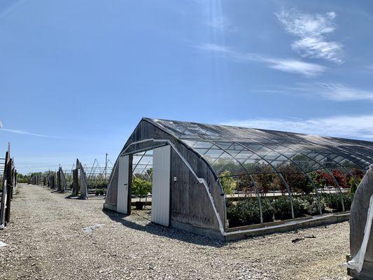 Walking around the nursery - literally rows upon rows of houses