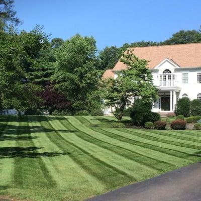 We take great pride in the lawns we mow.