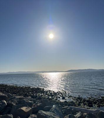 Beautiful walk in early November on the Bay Trail @ 3:00 in the afternoon