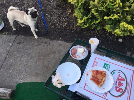 Muggsy eating A&S Pizza with us!