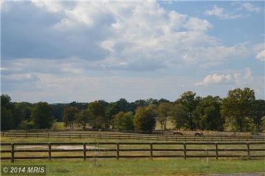 Leesburg Rolling Hills  and Horse Country