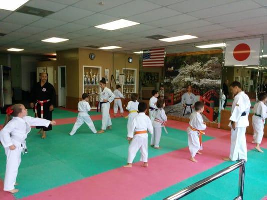 Sensei Luis teaching our young kids.