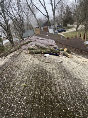 Emergency tree removal call from a storm