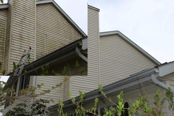 soft wash siding cleaning