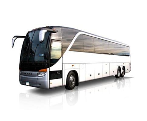 Bus Charter Rental