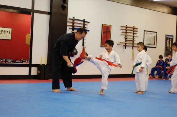 Little Dragon Class (Ages 7 and below)