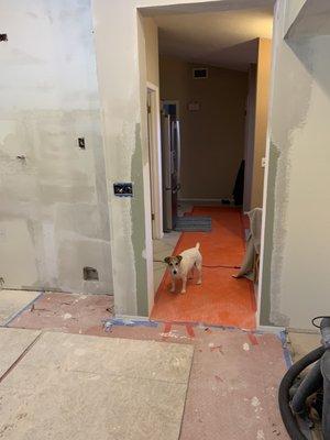 'during' photo showing plywood/plastic co. put down to prevent tile breakage (and a helper)