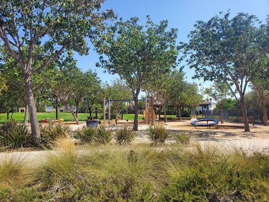 Park view with playground equipment