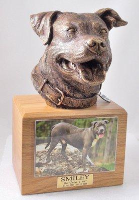 Pit bull Dog Memorial Urn. Provided collar ring connection allows customers  to attach their existing name tags.