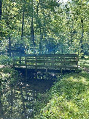 Bridge over the creek