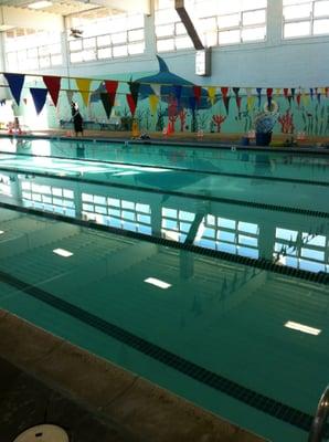 Our shiny new resurfaced pool- January 2012