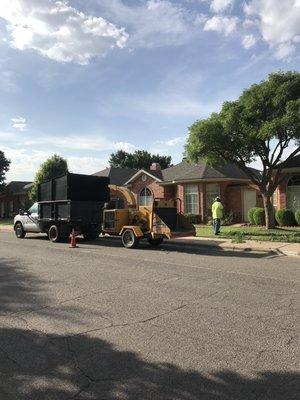 Tree Loving Care in the clean up stage on tree pruning job.