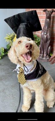 Graduation day from basic obedience training program.