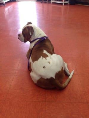 Marg waiting to see the vet