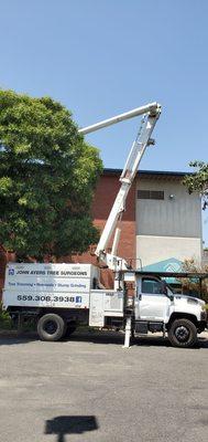 John Ayers TreeSurgeons donating work at the Boys & Girls Club.