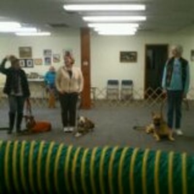 Basic Obedience group class. All clients have gone through private one on one sessions before starting in a group setting.