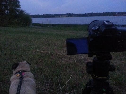 Waiting for fireworks