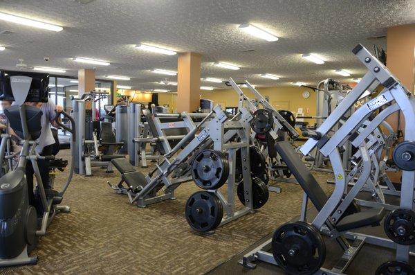 Free weights and Cable Machgines